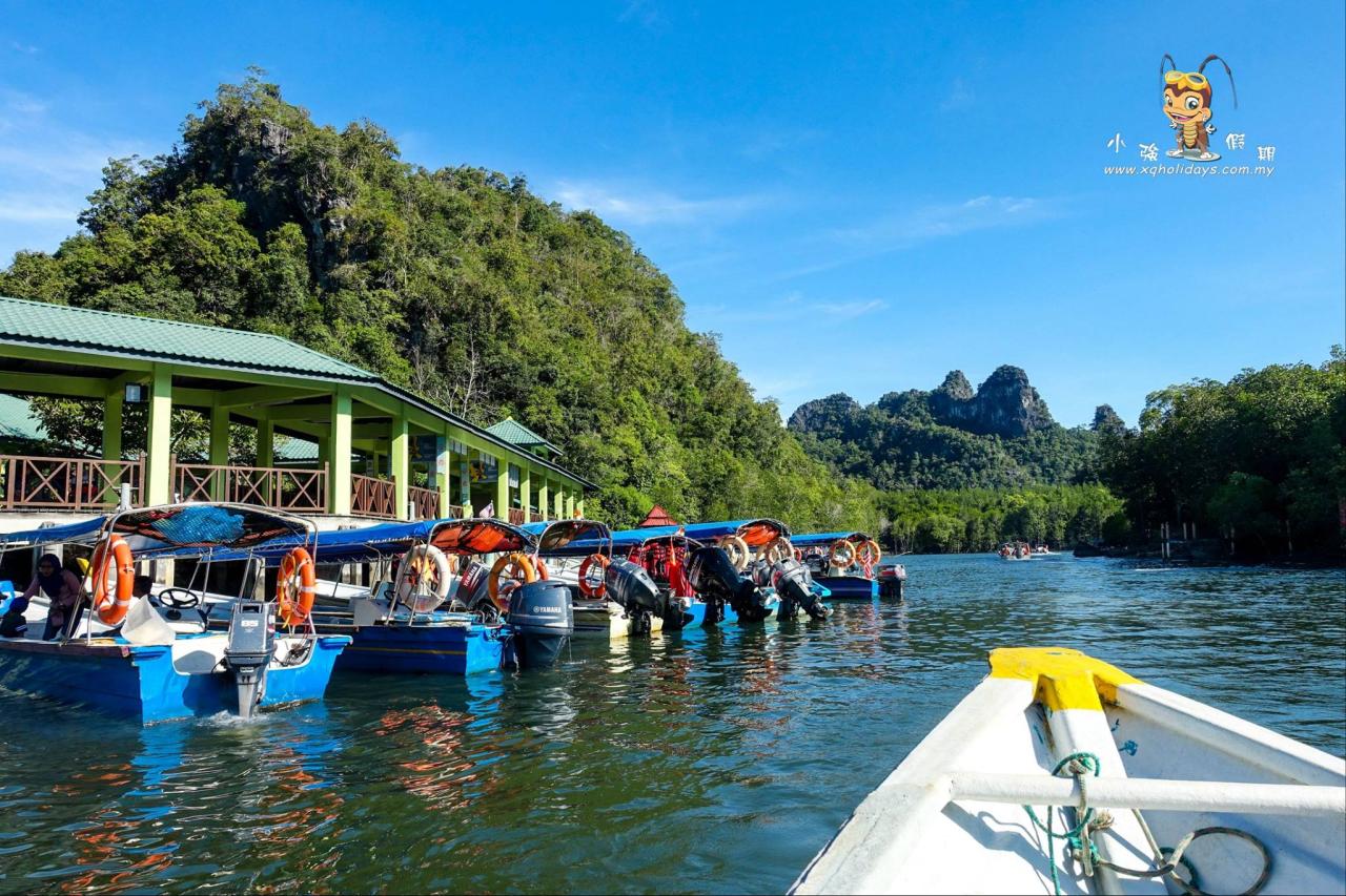 Jelajahi Ekosistem Unik Mangrove Langkawi dengan Tur Mangrove yang Menakjubkan